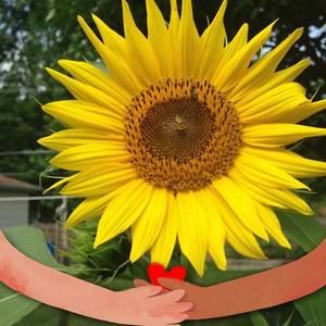 Meet your Posher, Fabiola